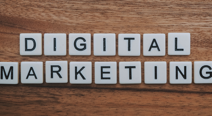 SEO Consultancy
